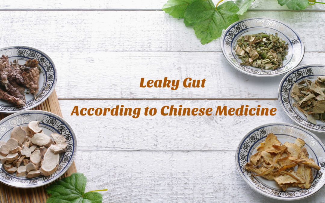 Leaky Gut According to Chinese Medicine